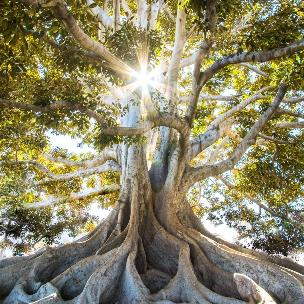 💌 La lettre solaire — chaque mois, les enjeux collectifs des transits du Soleil et ton horoscope thumbnail