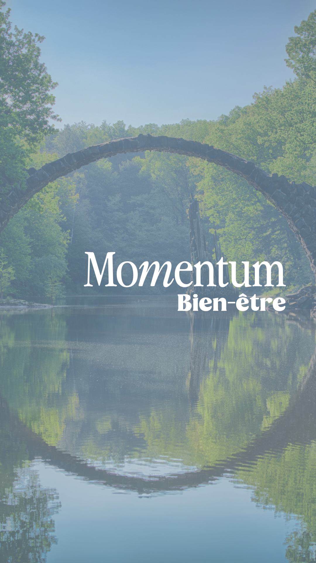 Momentum - édition bien-être thumbnail
