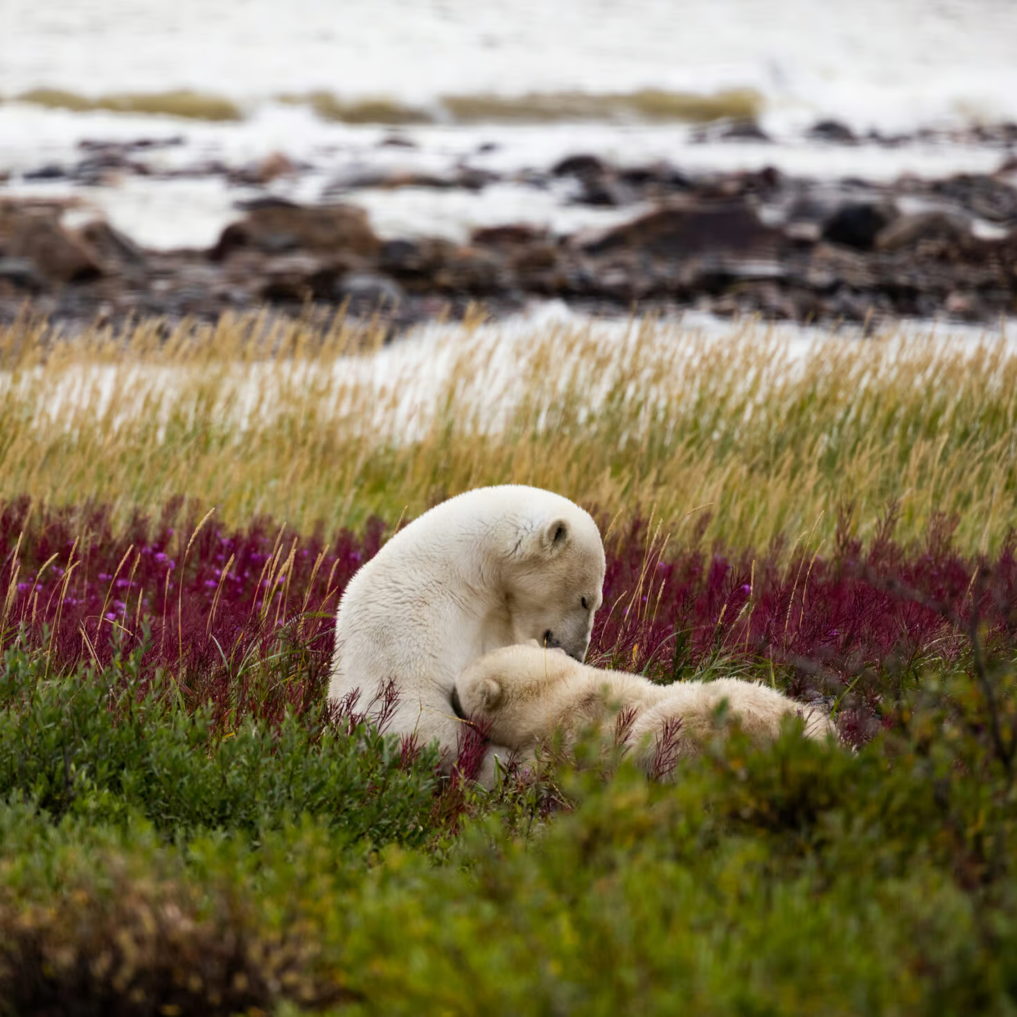 ‘Big changes’: huge new protected area moves one step closer to reality thumbnail
