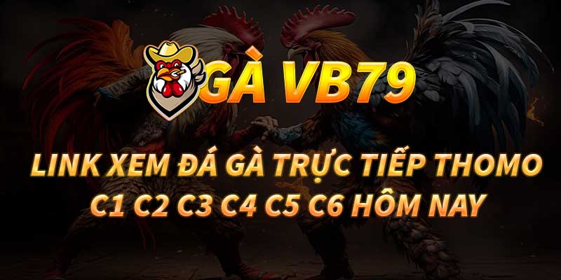 Gà VB79 thumbnail