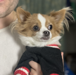 NPR Tiny Desk Concert thumbnail