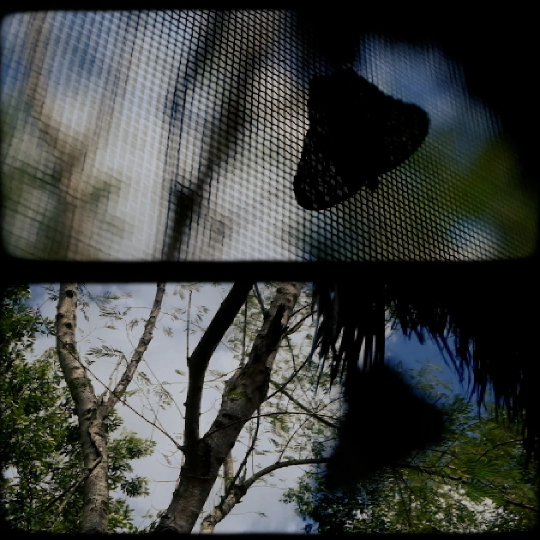 “exits / entrances” Special Mention awardee, Singapore Youth Film Festival, Nov 2024, Nominee Best Film, Best Editing, Best Short thumbnail