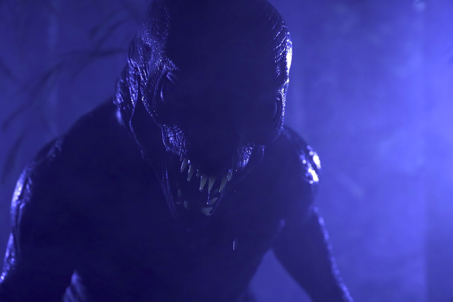 orang ikan | 39. fantasy filmfest thumbnail