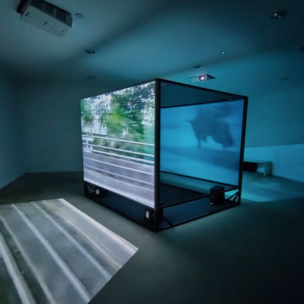 #SGBiennale video art work for Tan Pin Pin "On a Clear Day You Can See Forever" Lucky Plaza, #03-86, till March 2026 #pureintention thumbnail