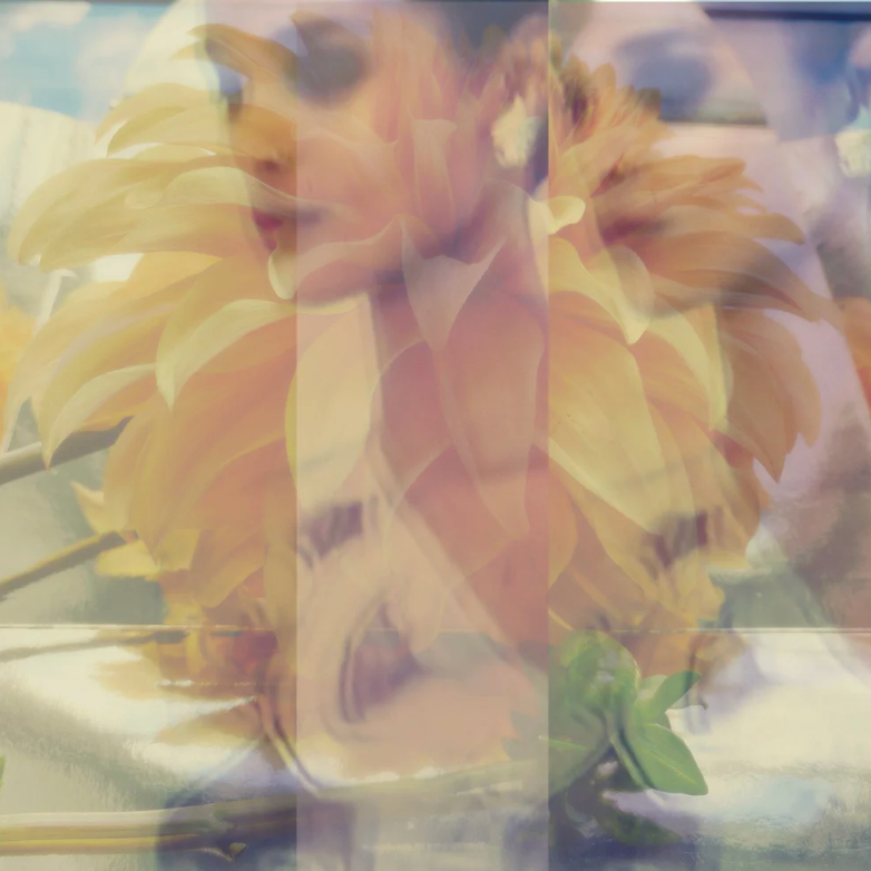 PORTFOLIO CURATION to align with career goals / INDIVIDUAL MENTOR SESSIONS 120mins. bookings open for April-May 2026. thumbnail