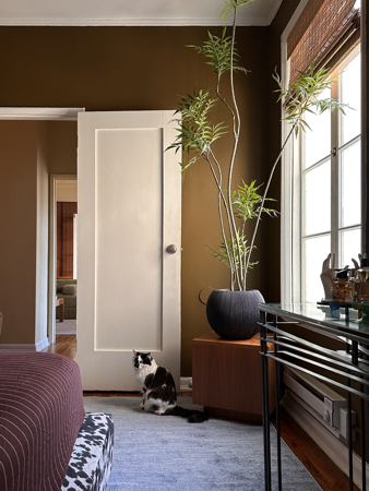 Bedroom Plant thumbnail