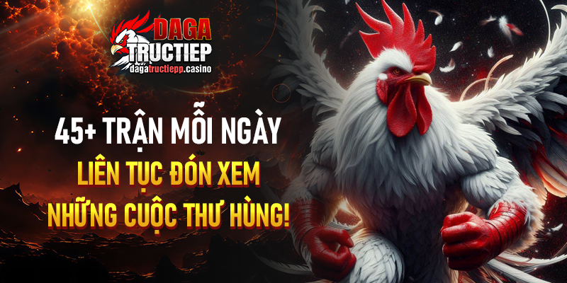 Link Đá Gà Trực Tiếp Hôm Nay - Xem Đá Gà Thomo Campuchia thumbnail