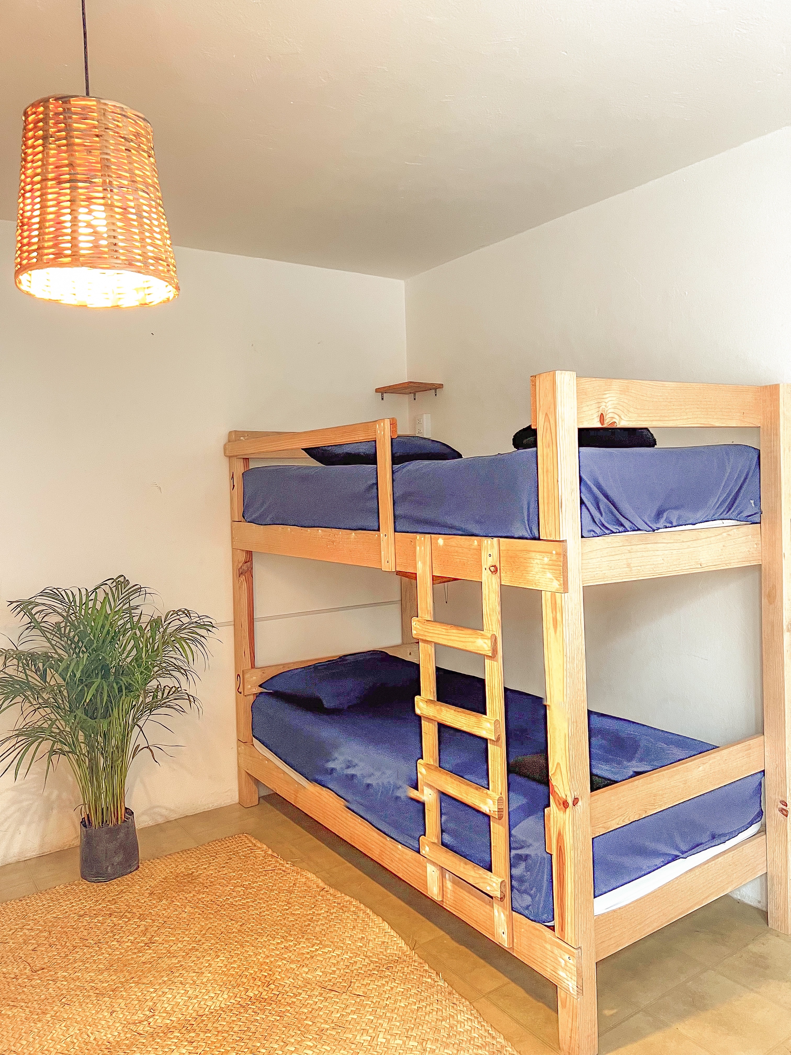 Share Dorms thumbnail