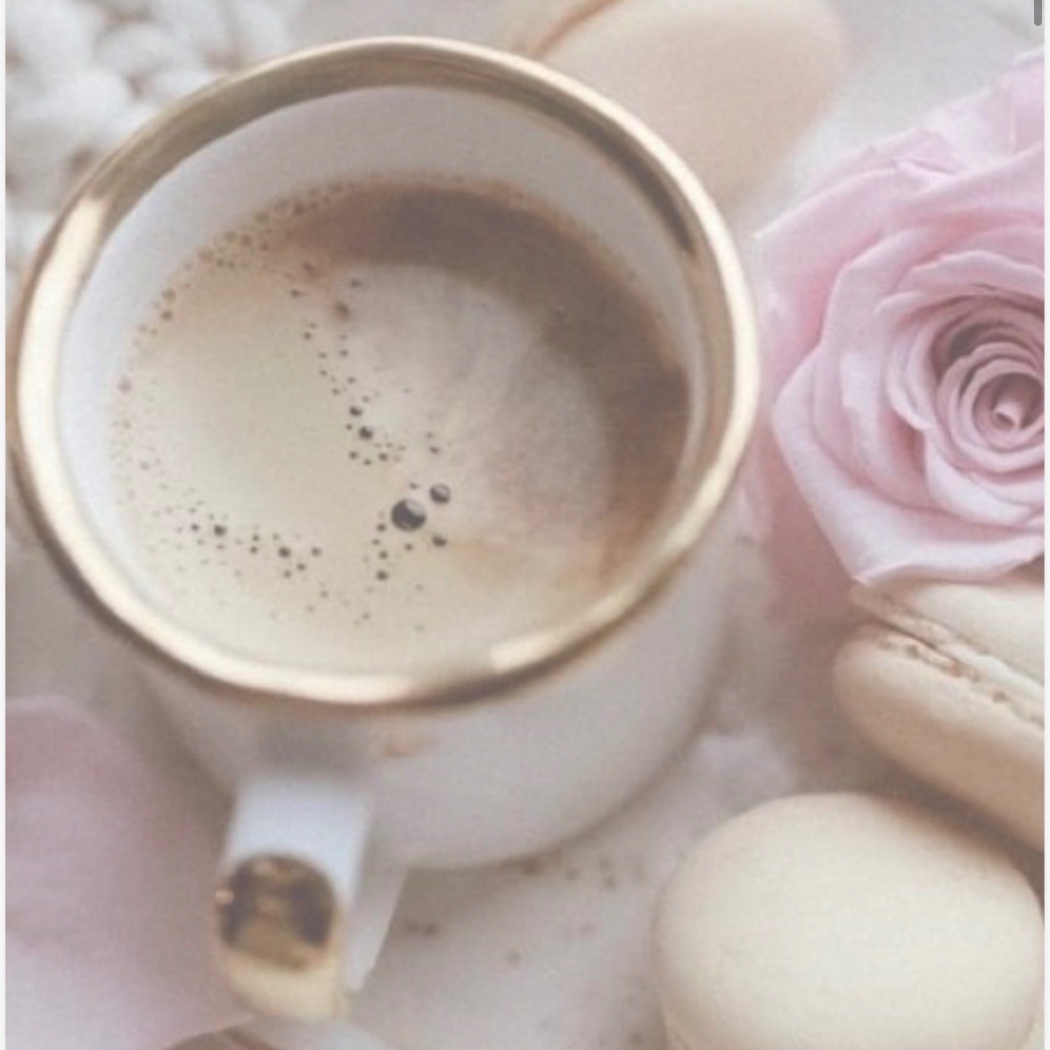 Catálogo  thumbnail