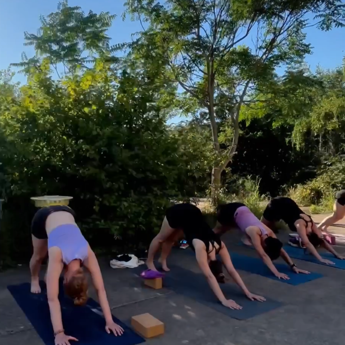 WhatsApp  des cours au parc 🌿 thumbnail