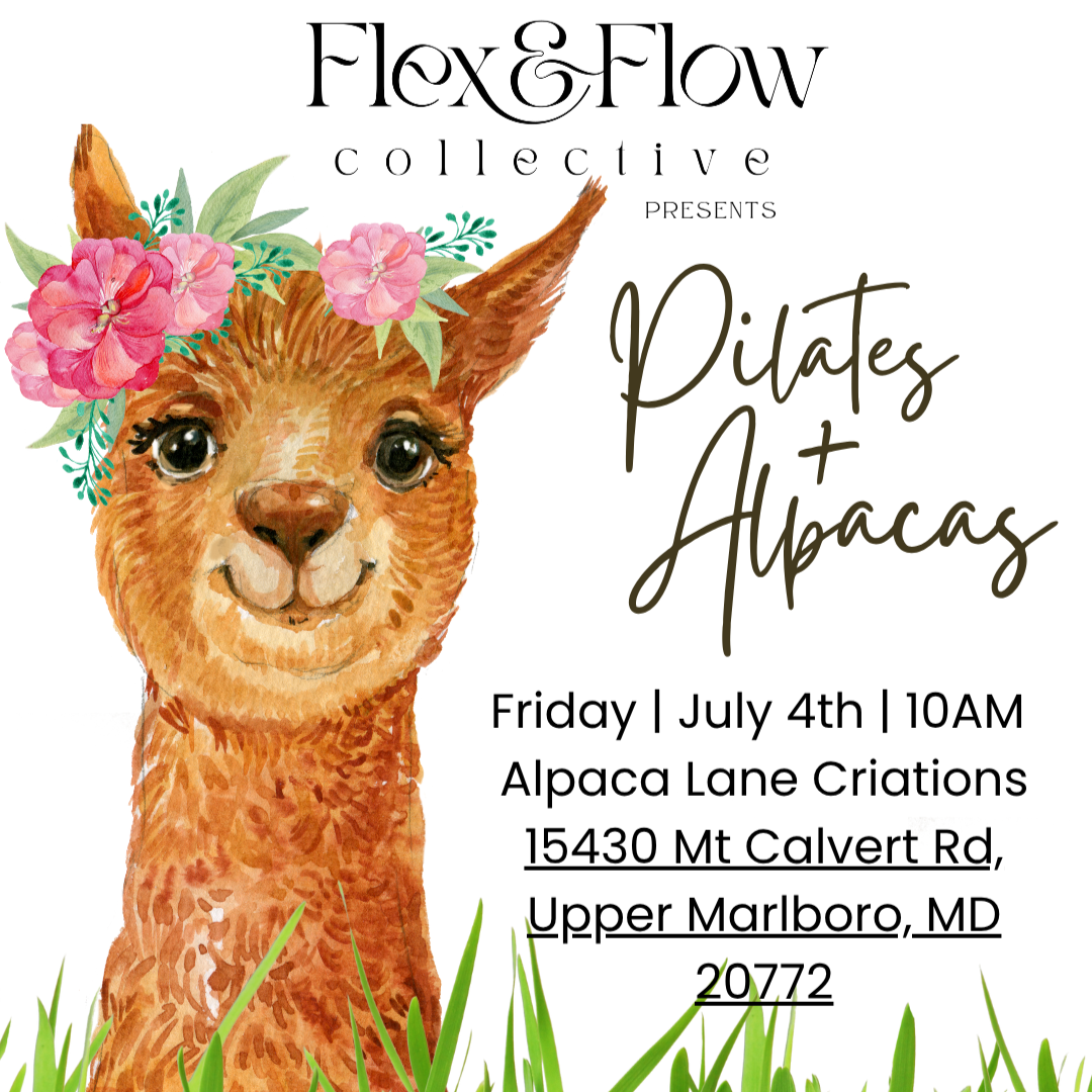 Pilates + Alpacas: July 4 | 10AM | Upper Marlboro, MD. thumbnail