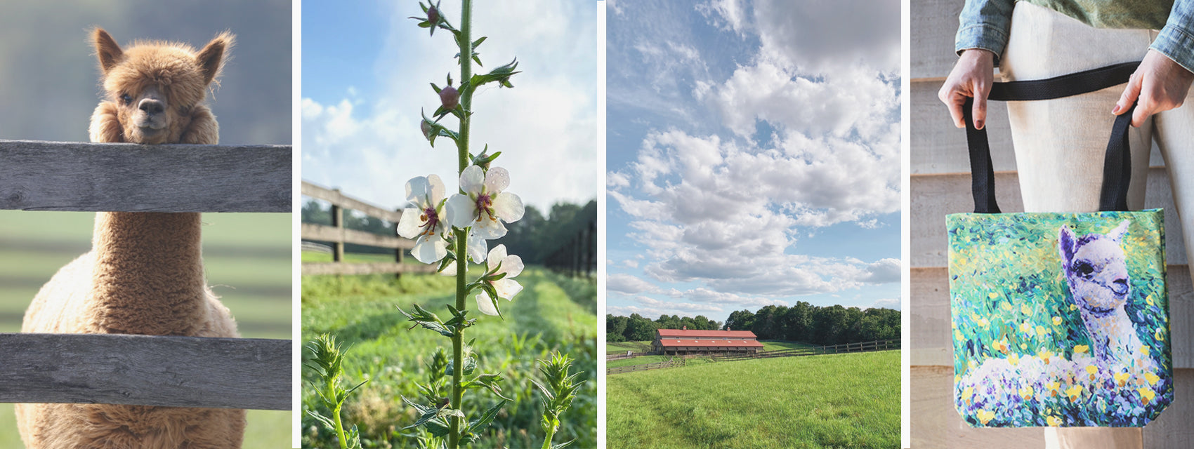 Pilates in the Pasture | Sat | May 17 | 9AM | The Artsy Farmer | Dickerson, MD. thumbnail
