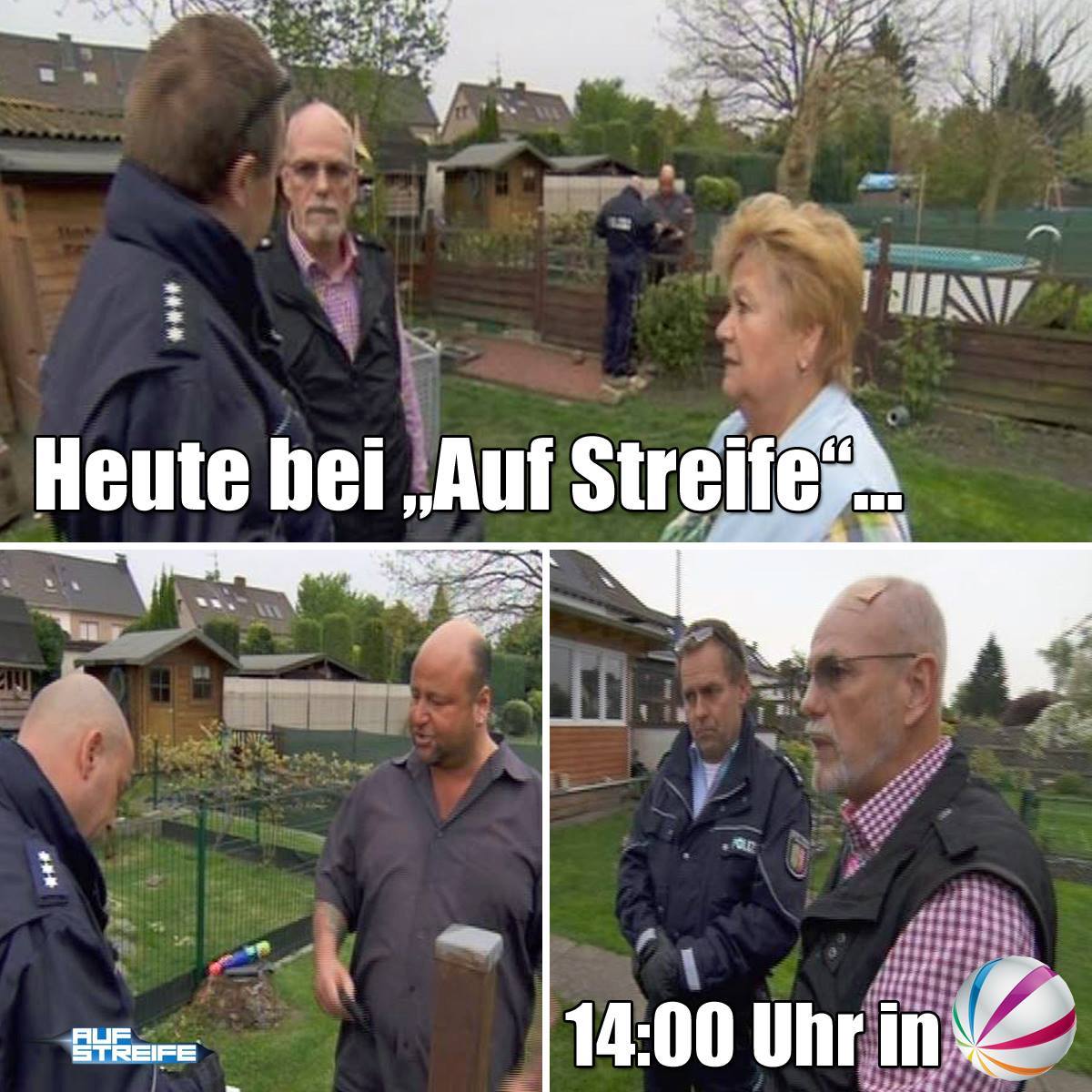 Auf Streife - Orchideen thumbnail