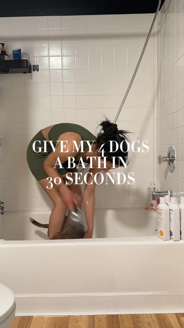 Does your dog like the bath or hate the bath? 🐶💜🔴💚💛 

😎 Take a guess as to which of my dogs is easiest or hardest to bat