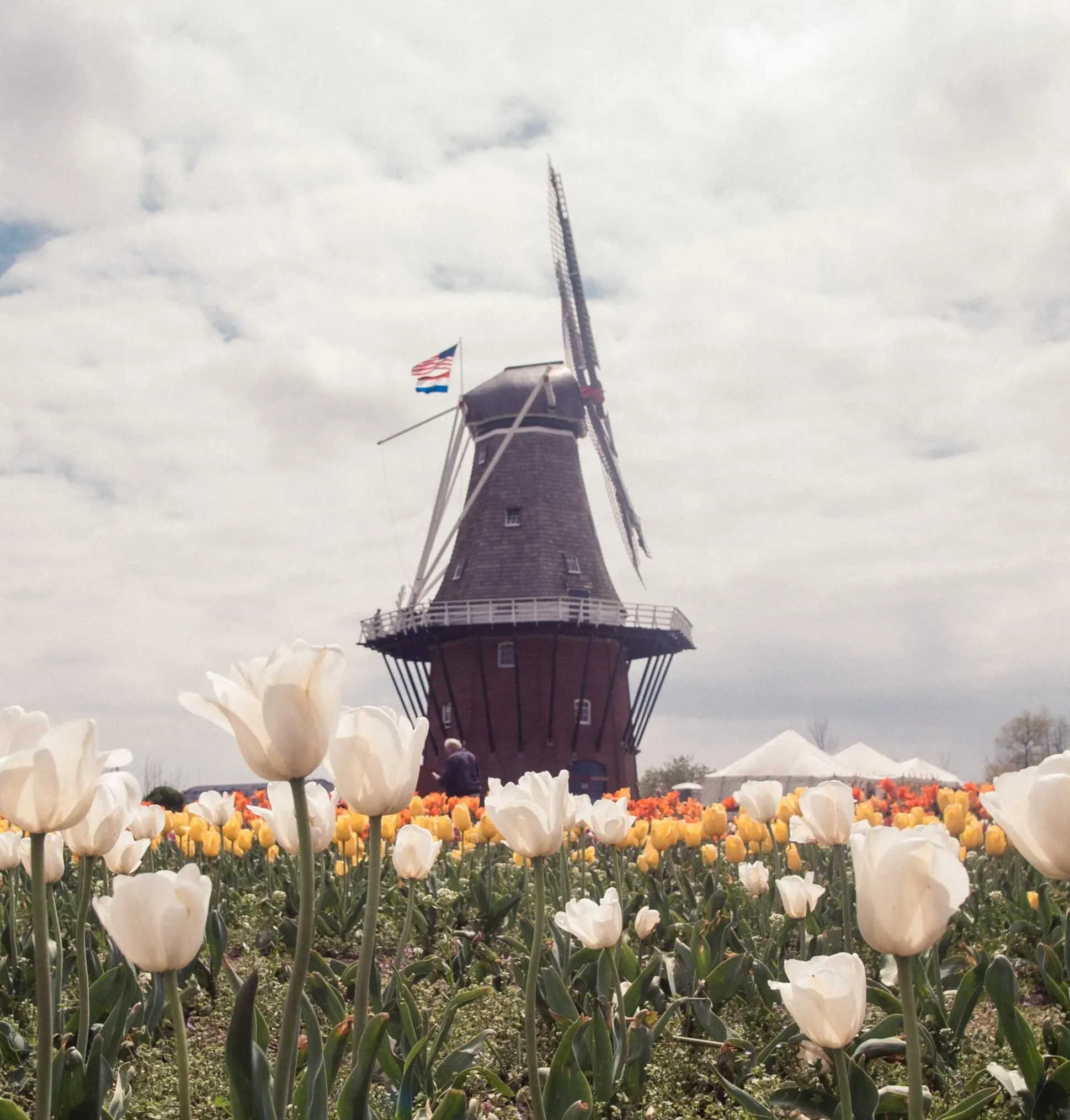 Website - Professional Services thumbnail