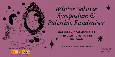 Winter Solstice Symposium & Palestine Fundraiser thumbnail