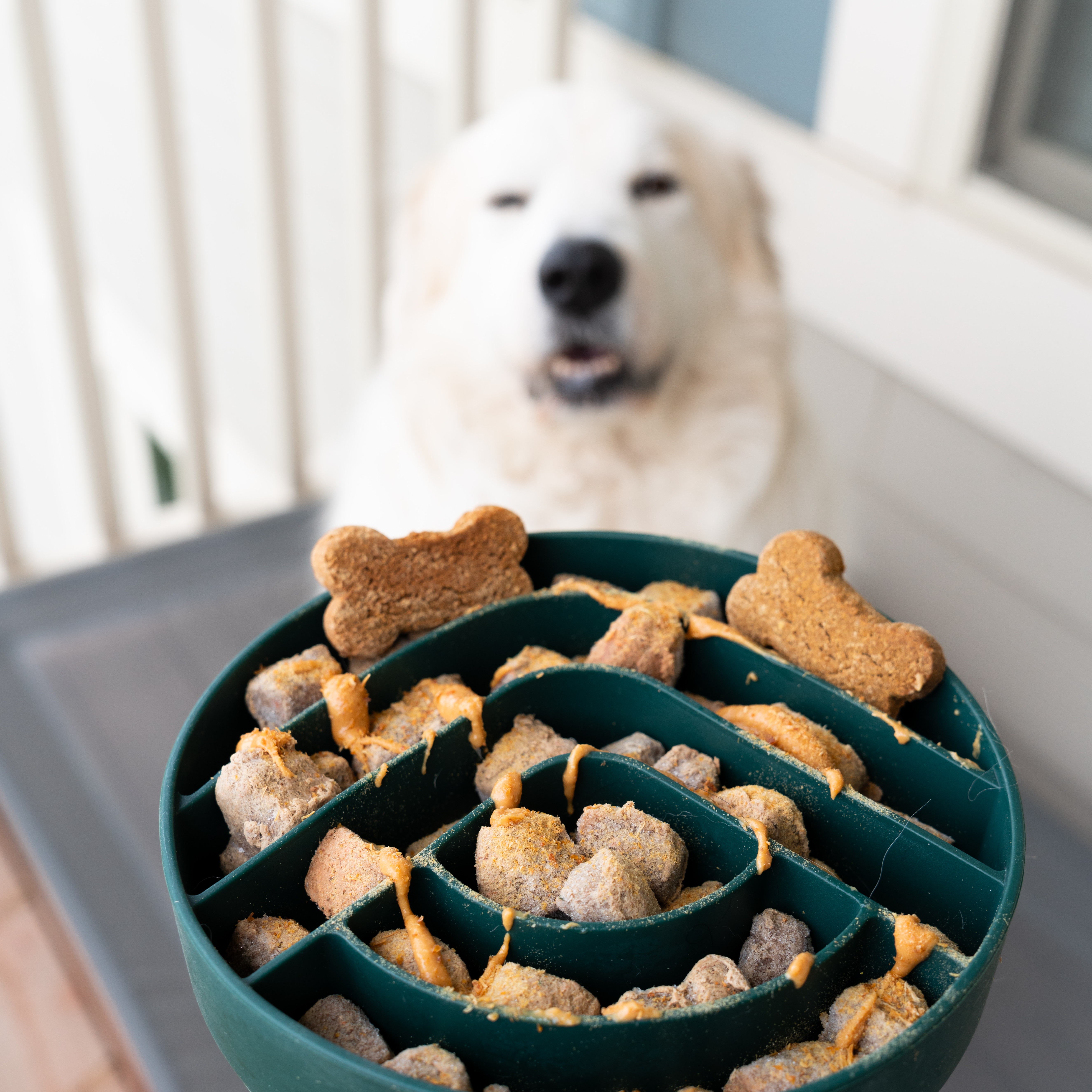 STEVE'S REAL RAW FOOD (25% OFF CODE LITTLEBITLOKI) thumbnail