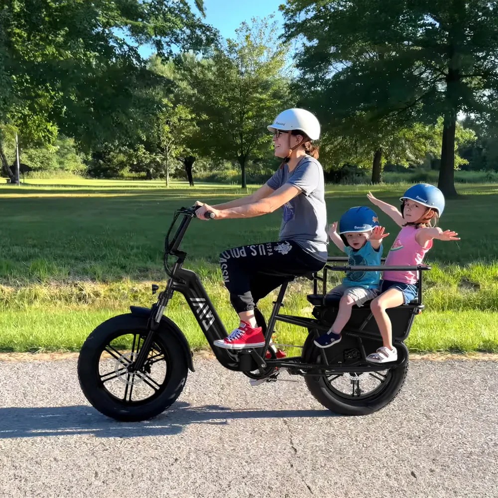 TST Carrier 20'' Cargo Electric Bike Review thumbnail