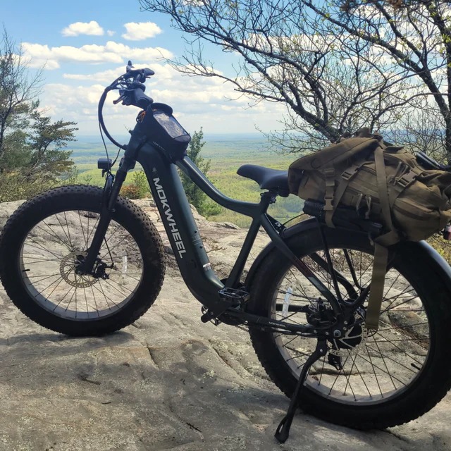 Mokwheel Tor Plus Electric Bike Review thumbnail