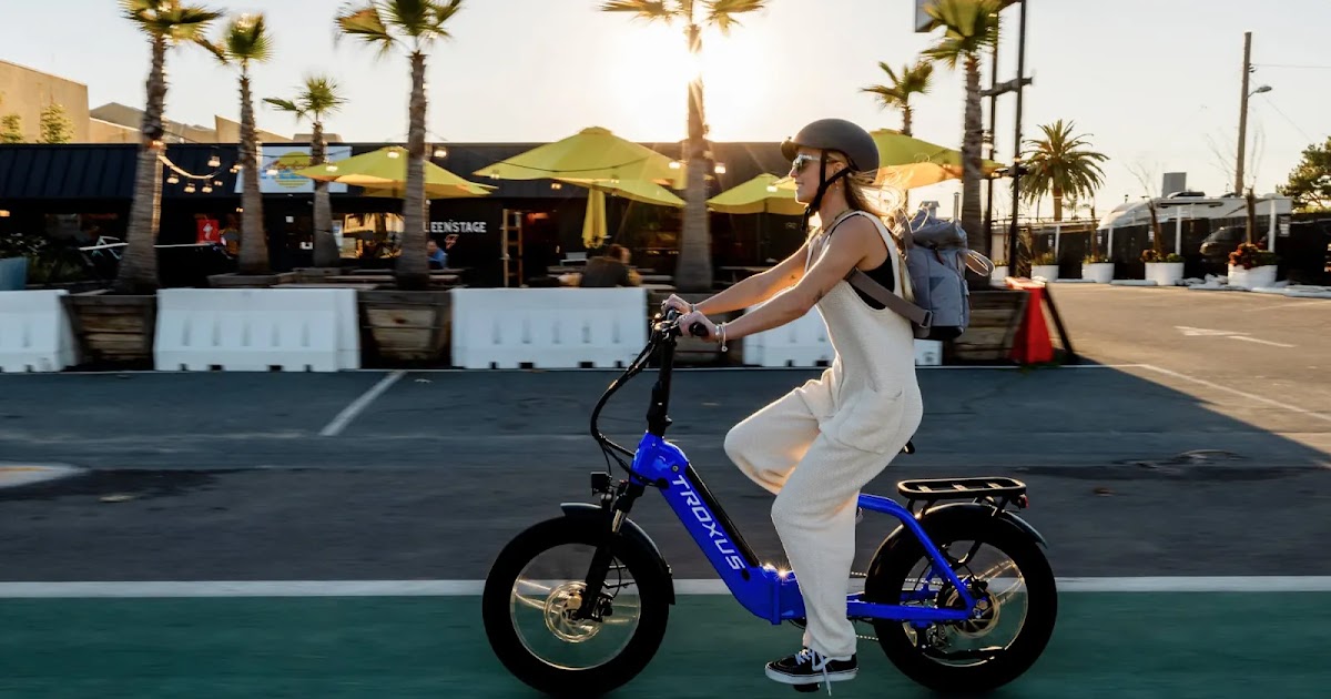 Troxus Lynx Folding Electric Bike Review thumbnail