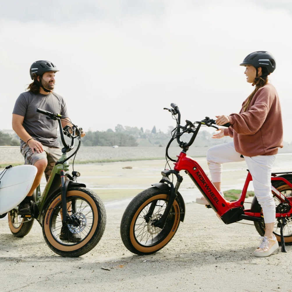 Mokwheel Scoria Electric Bike Review thumbnail