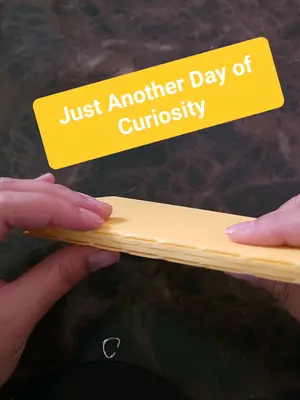 🔬 Curious & Reflective Experimenting with ideas, chasing curiosity. Not every day leads to a masterpiece— but every day 