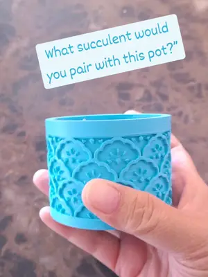 A new zen-inspired pot entering the collection—suited perfectly for your next succulent 🌱. Files dropping soon! #3DDesig