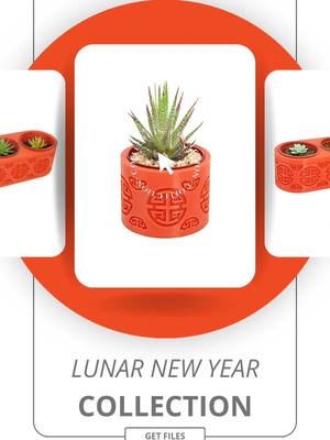 🌕✨ Celebrate Lunar New Year with my custom 3D-printed pots, designed to bring good fortune and joy in 2025! ✨🌕 Introduci