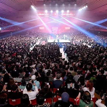 Sales-charting Bushiroad’s Sports Unit: An Ichimoku Analysis of NJPW and STARDOM quarterly net sales from 2022-Q1 to 2025-Q3 thumbnail