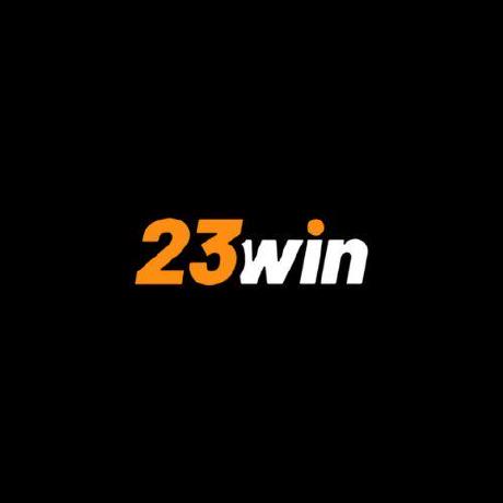 23winzinfo - Overview thumbnail