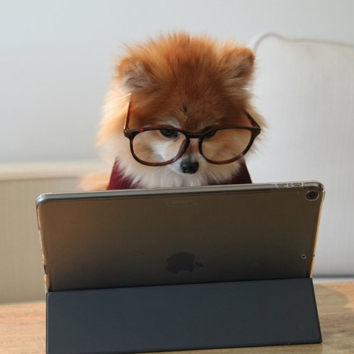 Xero Payroll Training thumbnail