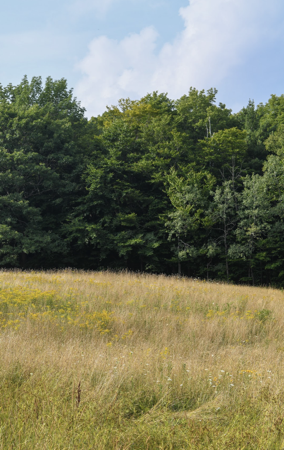 Vermont Camping Trip Waitlist  thumbnail