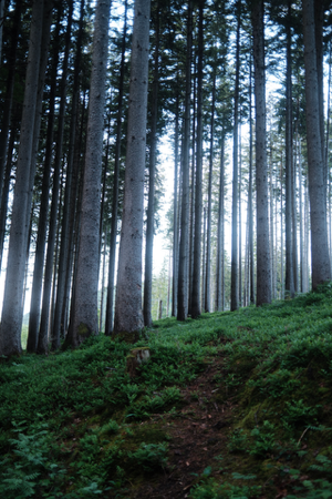 Travel & Nature Insta thumbnail