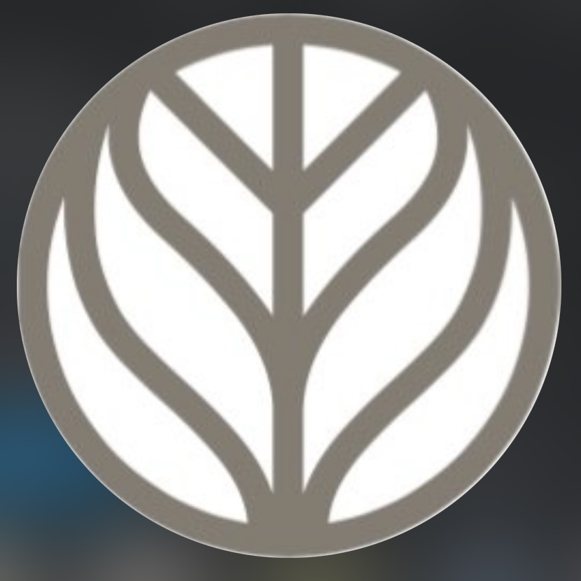 Branch Basics | non-toxic, chemical free cleaner | $10 off thumbnail