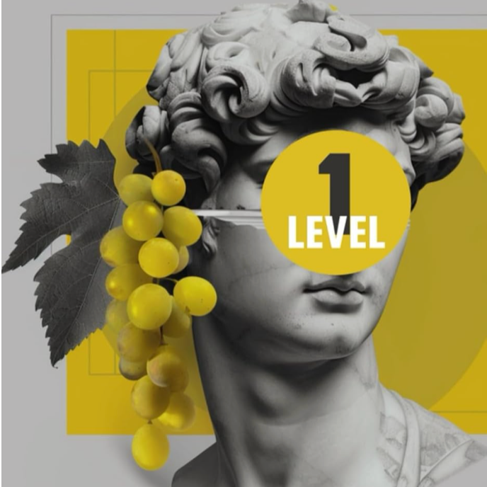 Sommelier Level 1 Prep Book thumbnail