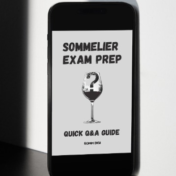 Sommelier Exam Prep: Quick Q&A Guide thumbnail