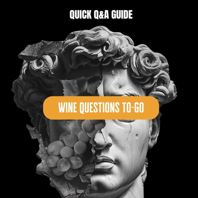 Sommelier Prep Book: Quick Q&A Guide for Wine Professionals | The Ultimate Sommelier and Wine Book for Exam Success thumbnail