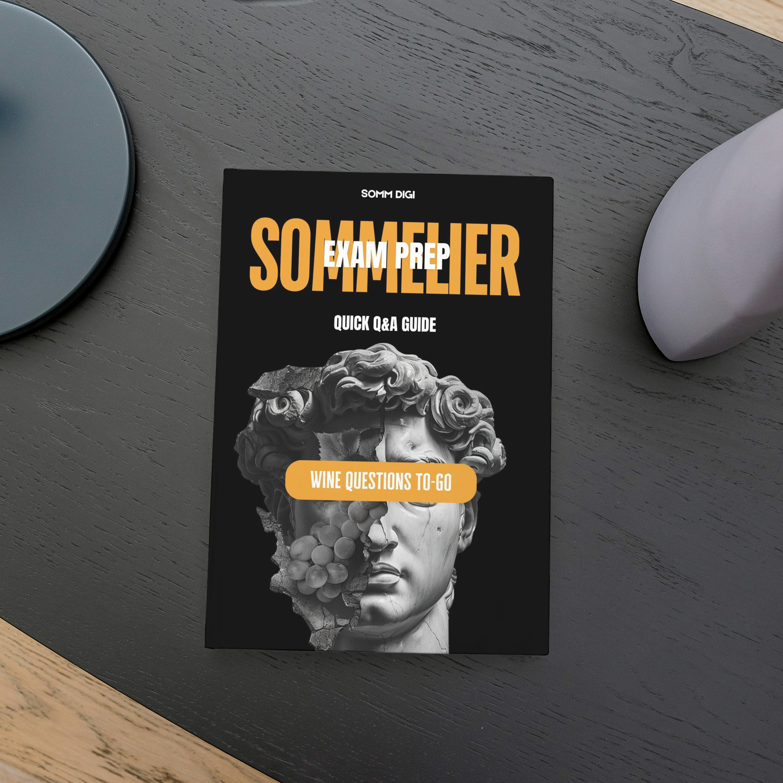 SOMM DIGI BOOKS: VISIT AMAZON STORE  thumbnail