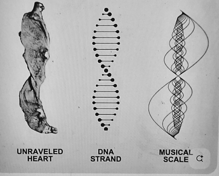 FREE Soulmatics Framework™ Intro  thumbnail