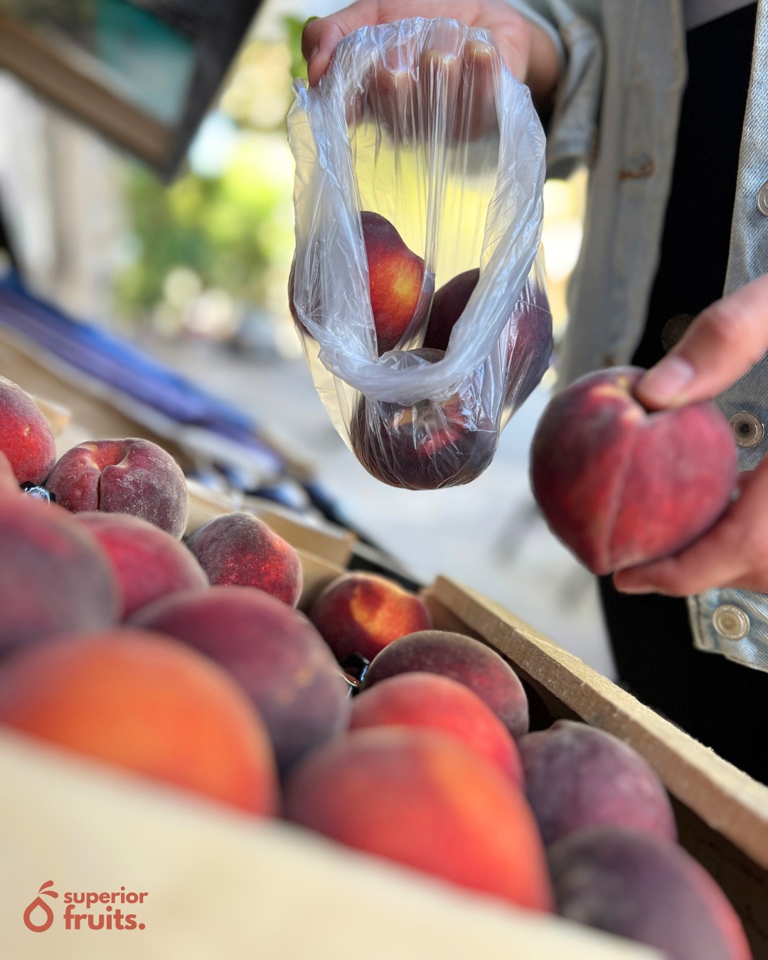 En nuestro local de 𝗦𝘂𝗽𝗲𝗿𝗶𝗼𝗿 𝗙𝗿𝘂𝗶𝘁𝘀 podés encontrar una gran variedad de productos para facilitarte tus compras y comer 