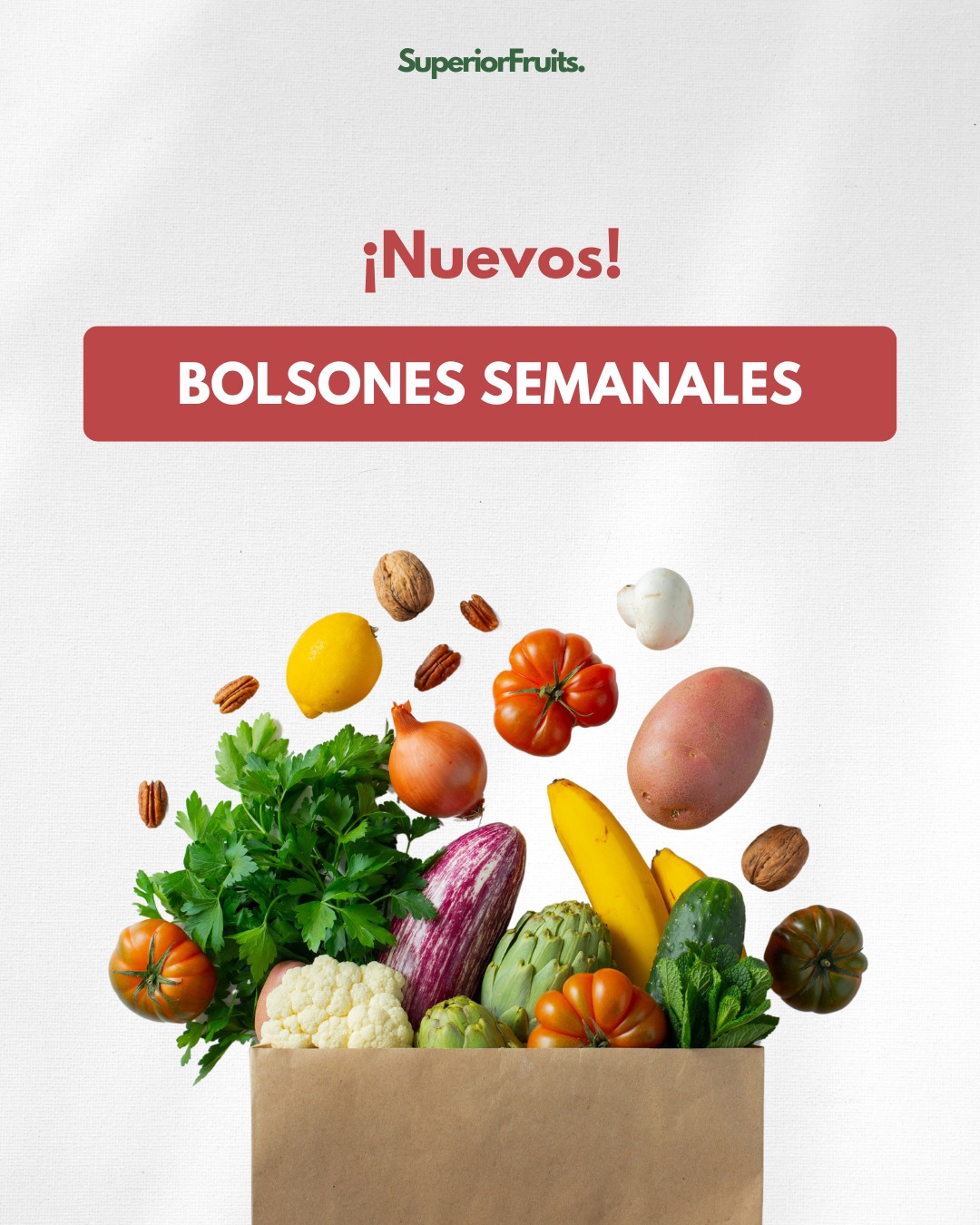 Te dejamos los Bolsones Semanales a precios increíbles que no podes dejar de aprovechar en 𝗦𝘂𝗽𝗲𝗿𝗶𝗼𝗿 𝗙𝗿𝘂𝗶𝘁𝘀 ! ✨🛒

🍎 𝗕𝗼𝗹𝘀𝗼