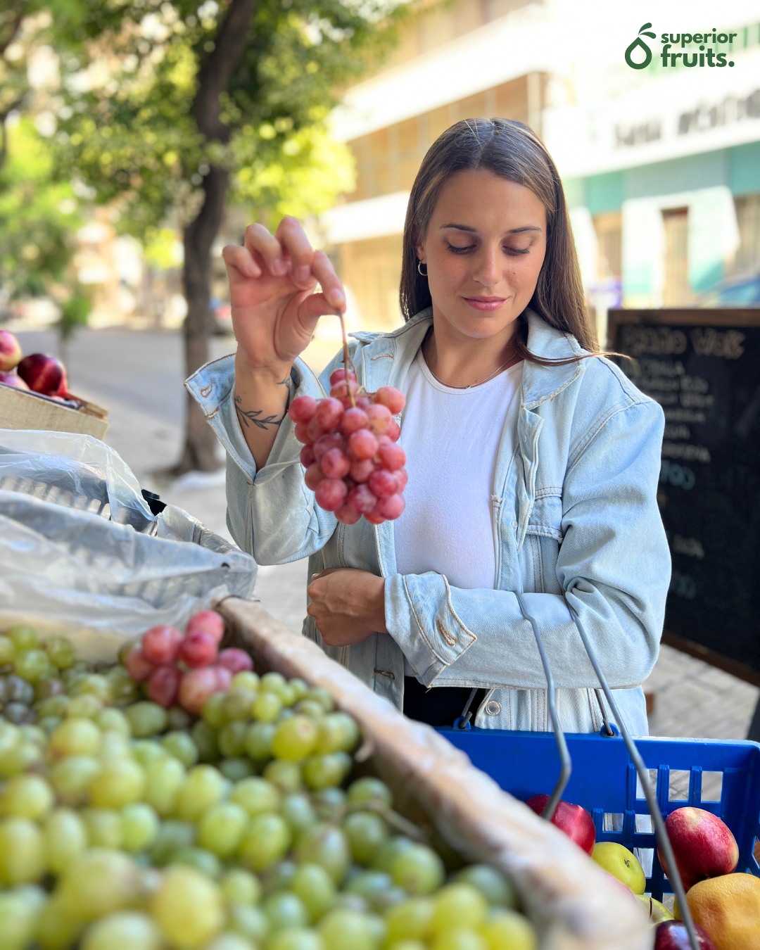 Vení a 𝗦𝘂𝗽𝗲𝗿𝗶𝗼𝗿 𝗙𝗿𝘂𝗶𝘁𝘀 y hacé tu compra semanal! 🛒

🍊 Además de frutas y verduras, vas a encontrar cientos de productos 