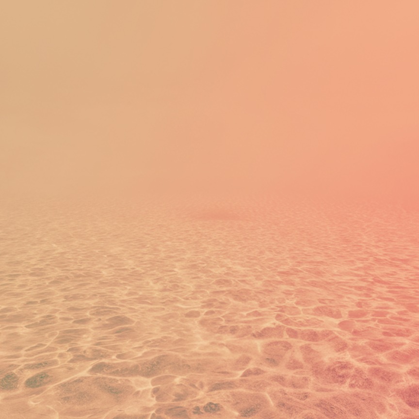 Lion Frequency Website thumbnail