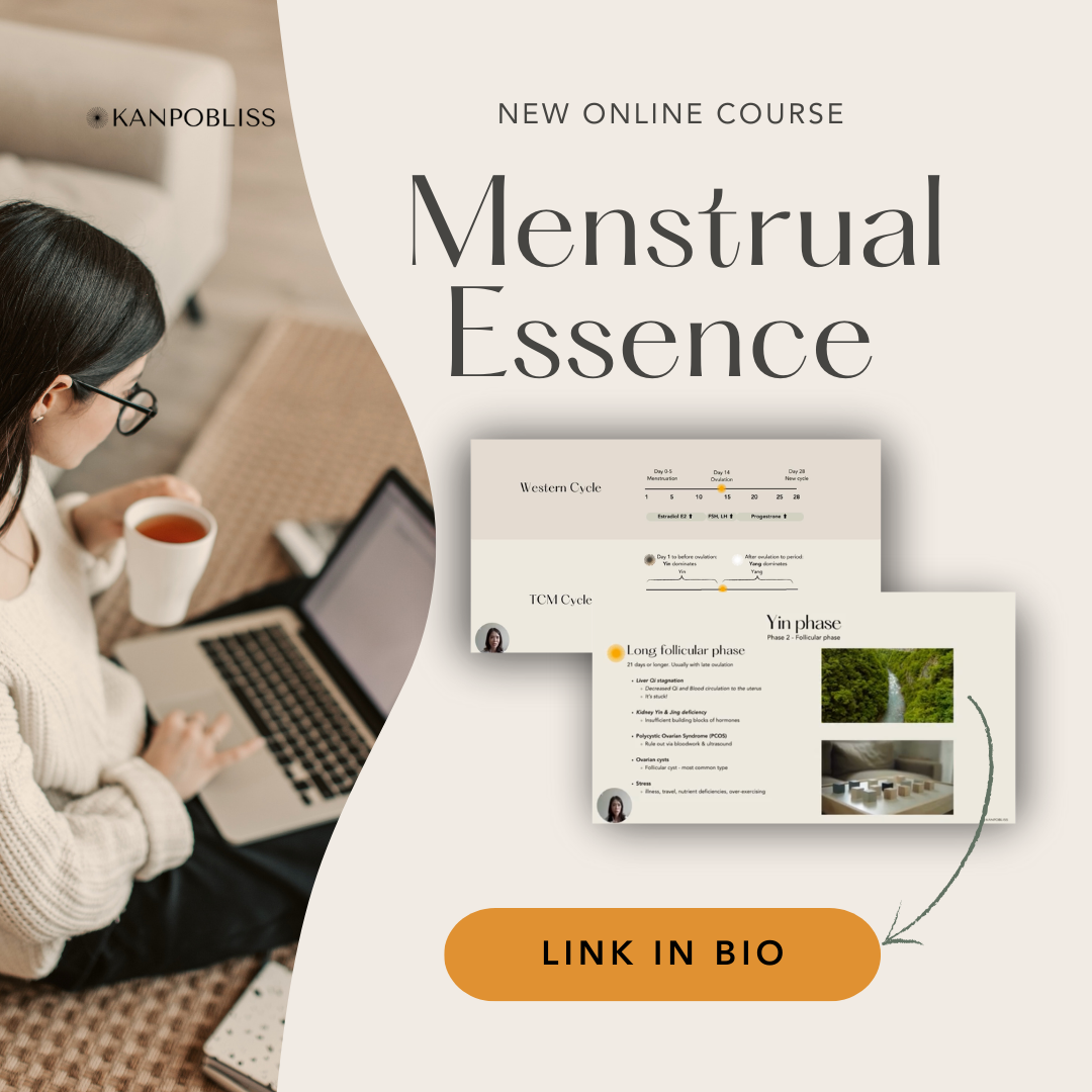 ECOURSE - Menstrual Essence thumbnail