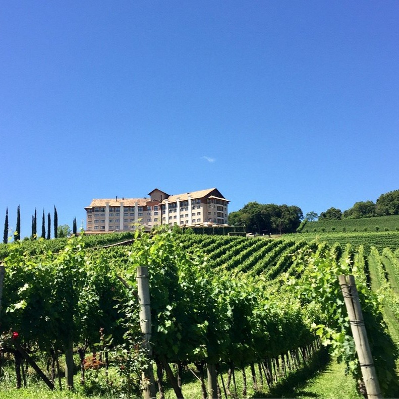 Descubra o Vale dos Vinhedos thumbnail