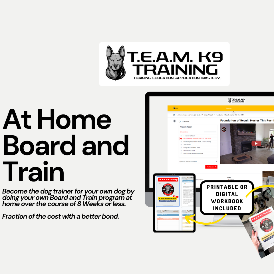 8-Week: At Home Board and Train Program: $175 thumbnail