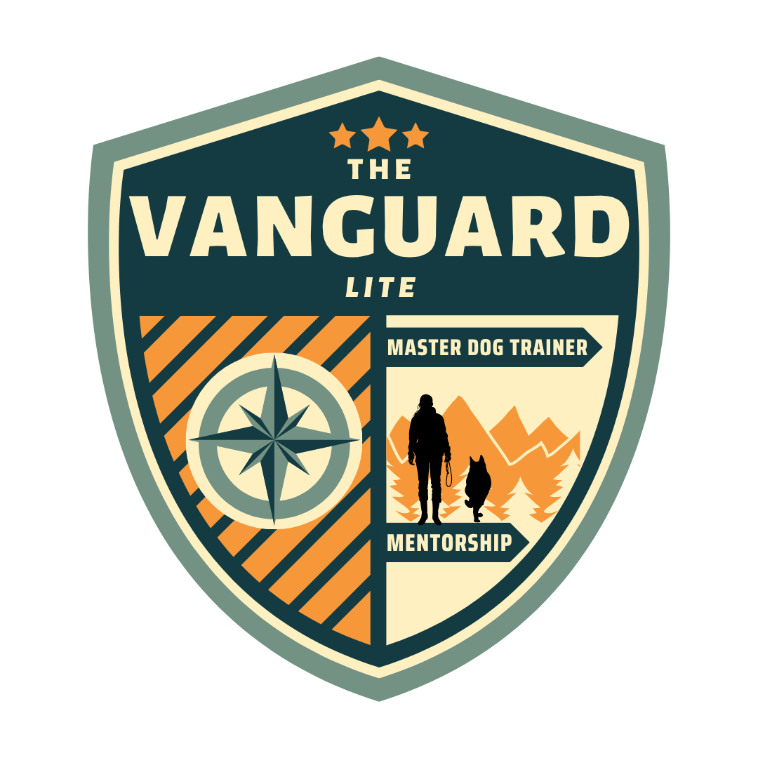 Business Building Mentorship: Vanguard LITE thumbnail