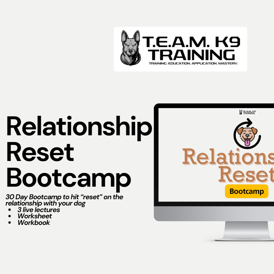 30 Day: Relationship Reset Bootcamp: $27.99 thumbnail