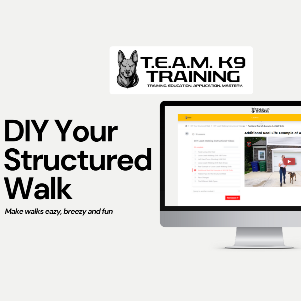 DIY Loose Leash Walking Course: $39.99 thumbnail