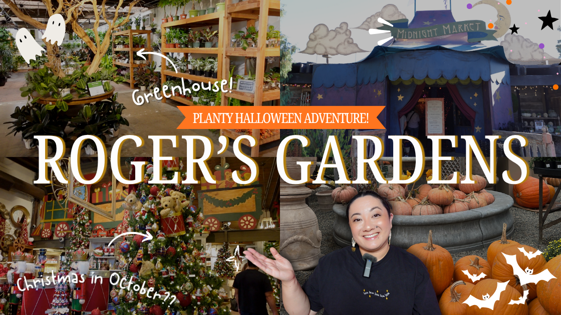 🎃👻 Roger’s Gardens Halloween Boutique 2025 thumbnail